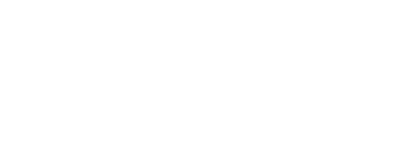 pnp_logo